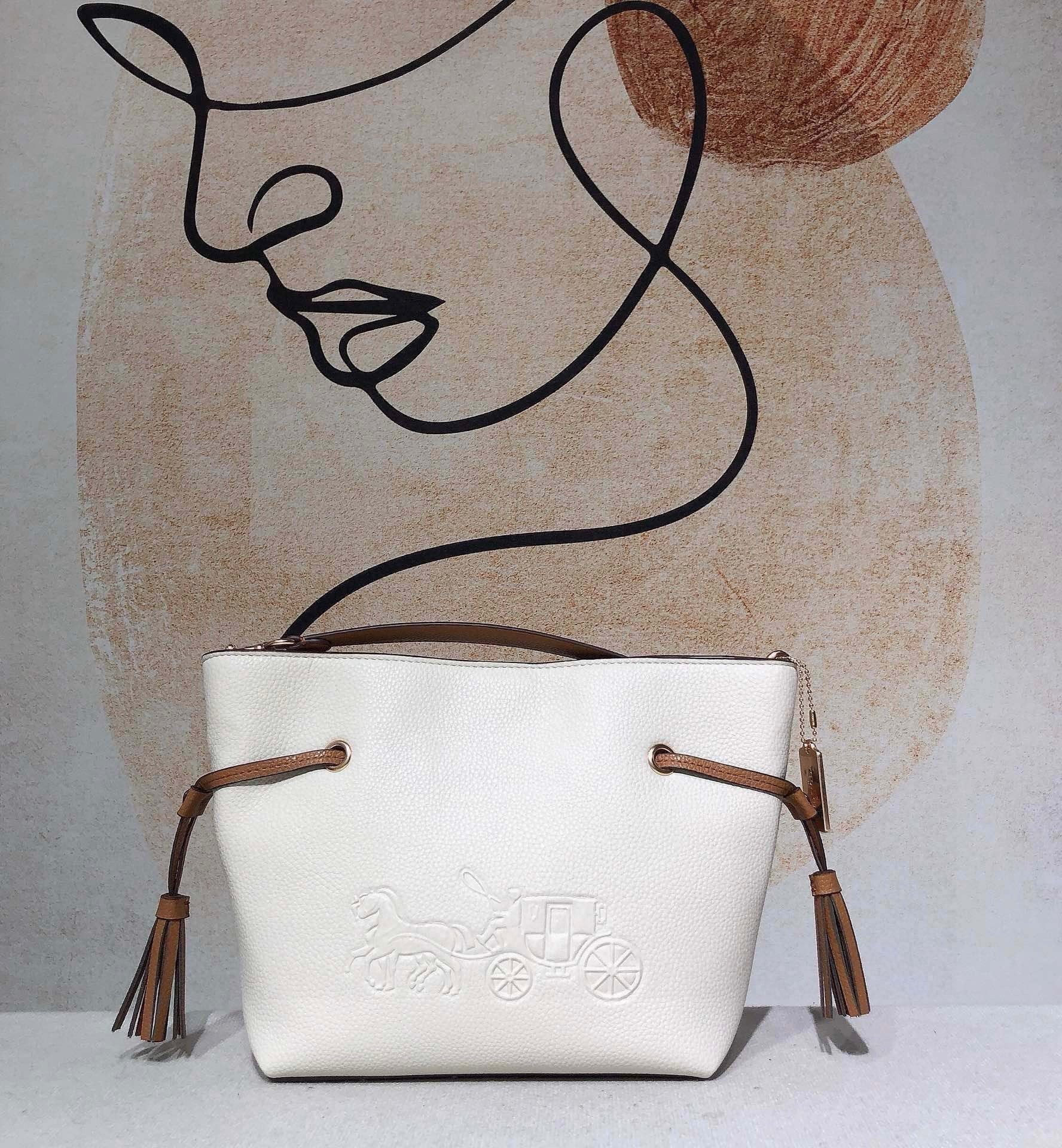 LuxluxHouse Best Quality Bags Coach