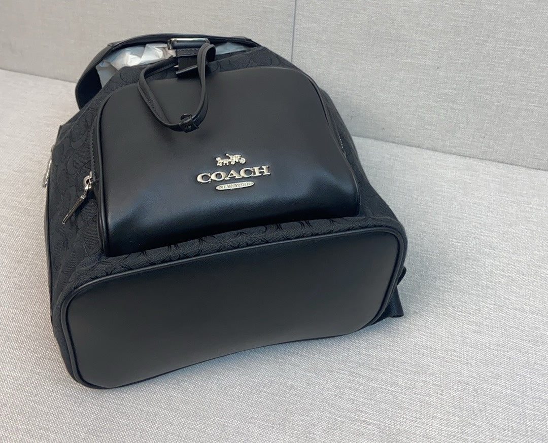 LuxluxHouse Best Quality Bags Coach