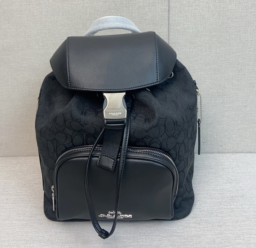 LuxluxHouse Best Quality Bags Coach
