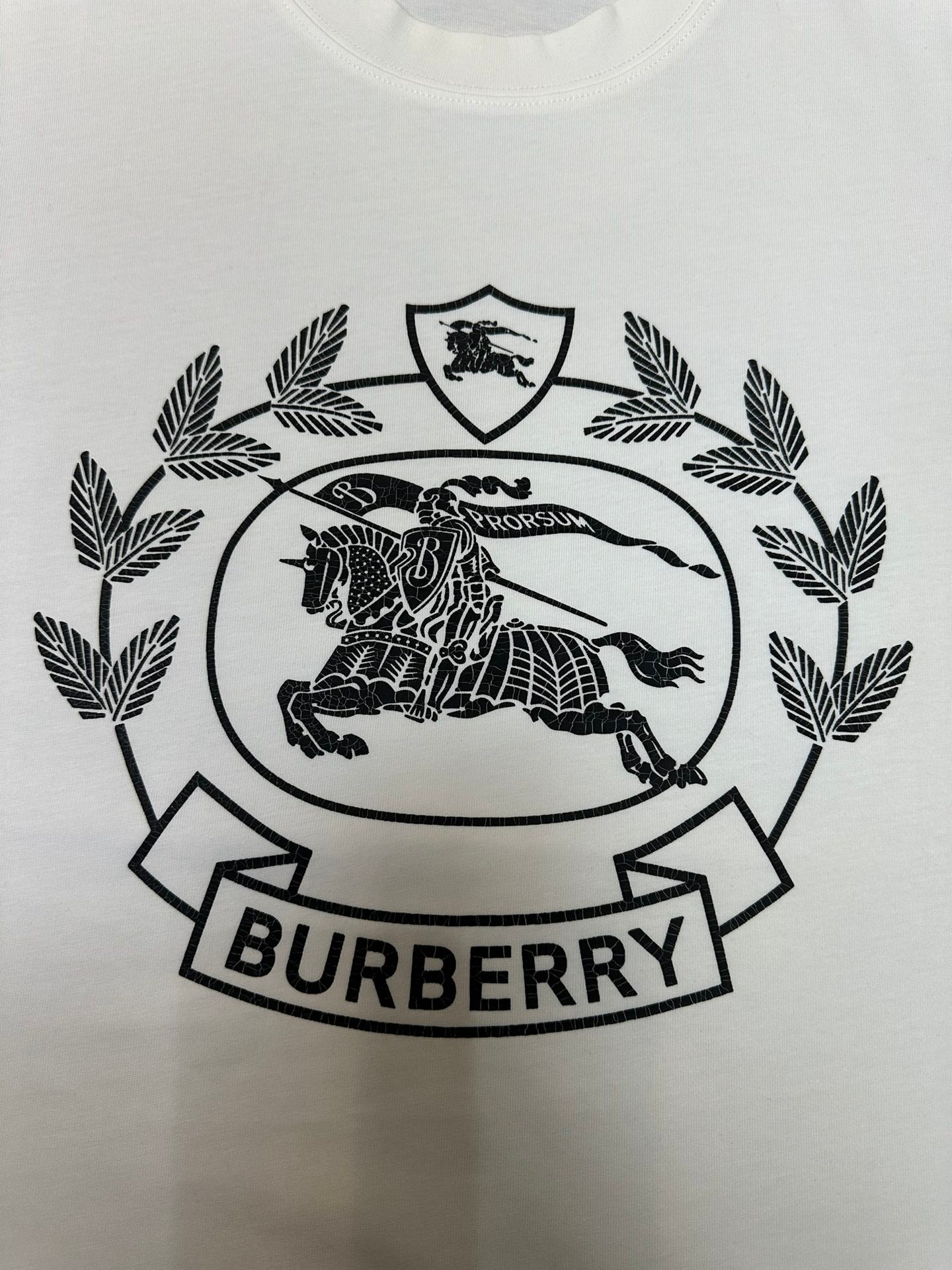 LuxluxHouse Best Quality Clothes Burberry T-shirt