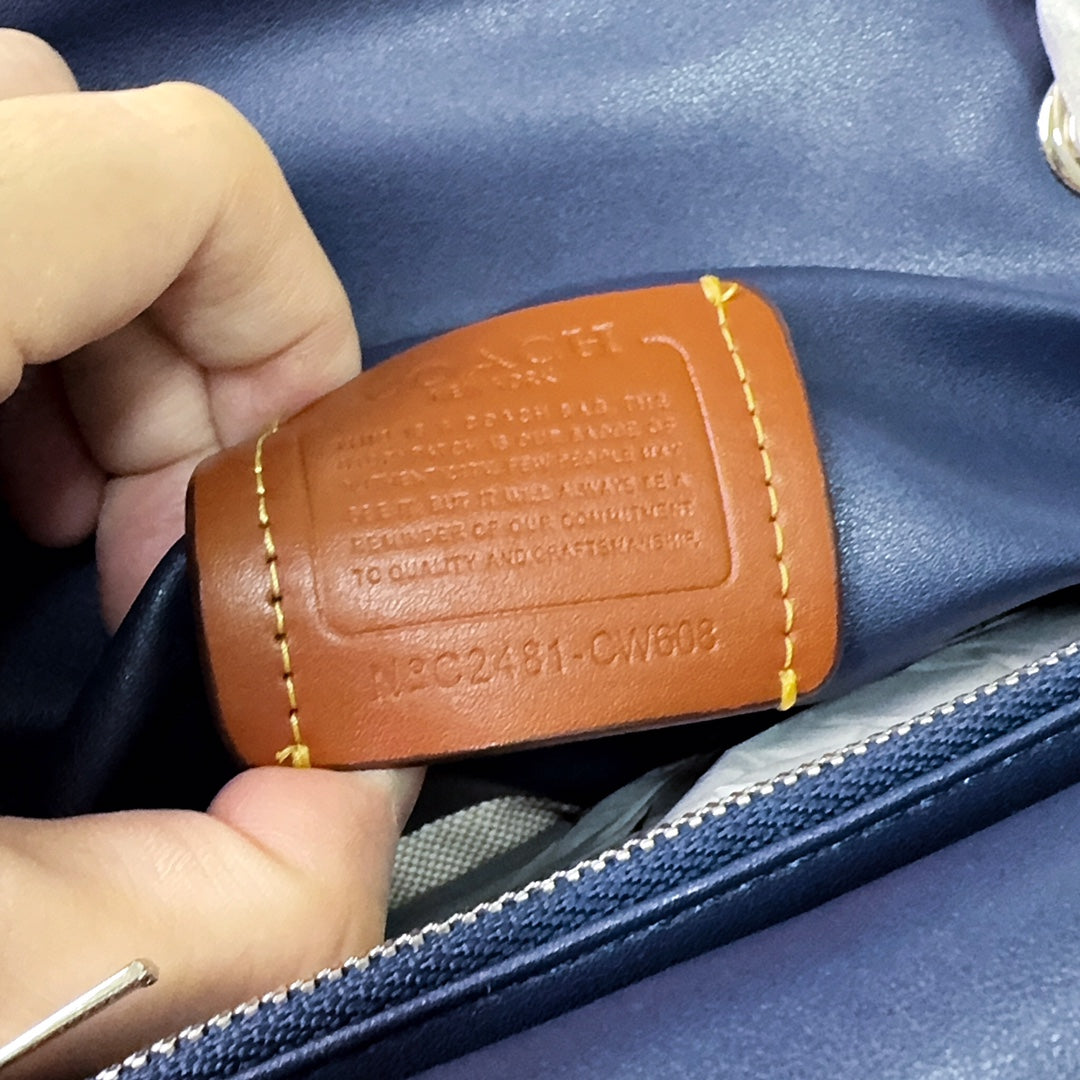 LuxluxHouse Best Quality Bags Coach