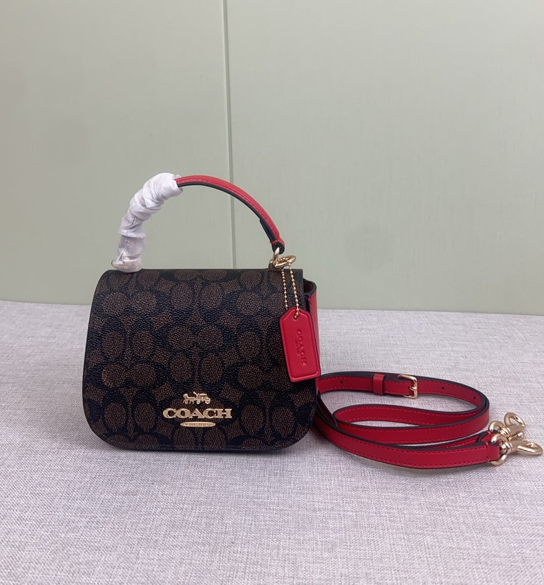 LuxluxHouse Best Quality Bags Coach