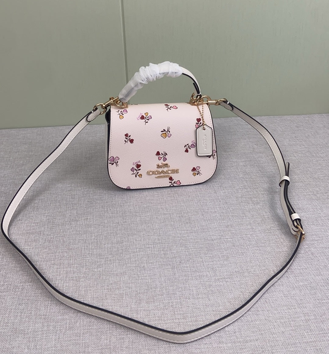 LuxluxHouse Best Quality Bags Coach