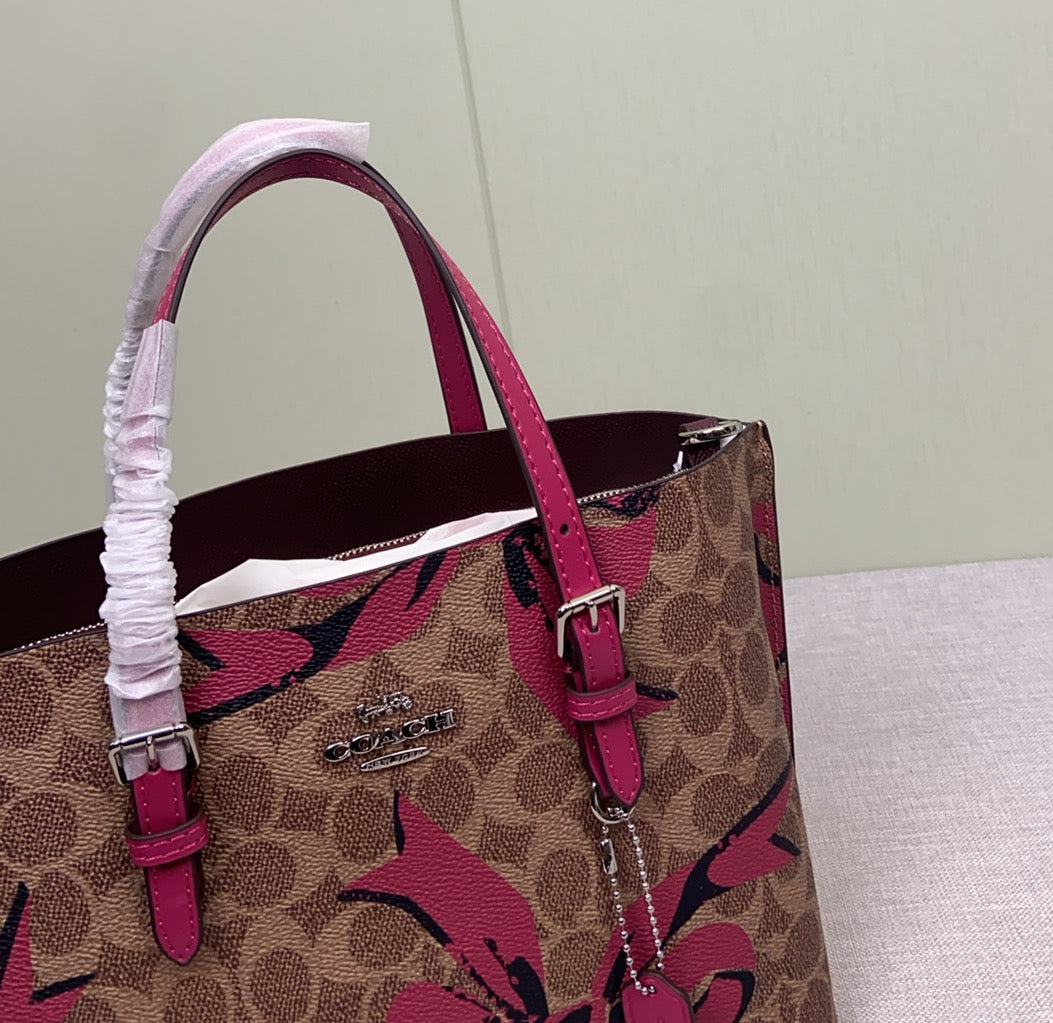 LuxluxHouse Best Quality Bags Coach