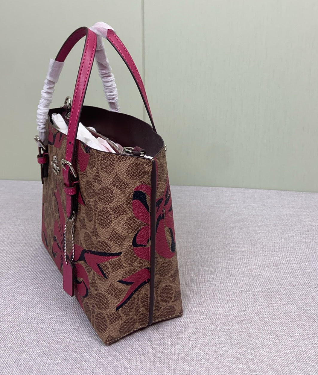 LuxluxHouse Best Quality Bags Coach