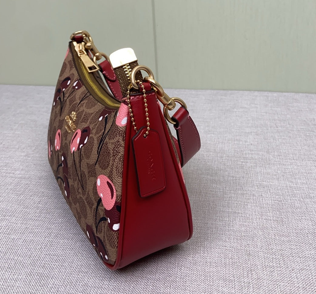 LuxluxHouse Best Quality Bags Coach