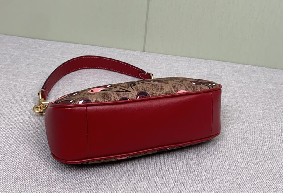 LuxluxHouse Best Quality Bags Coach