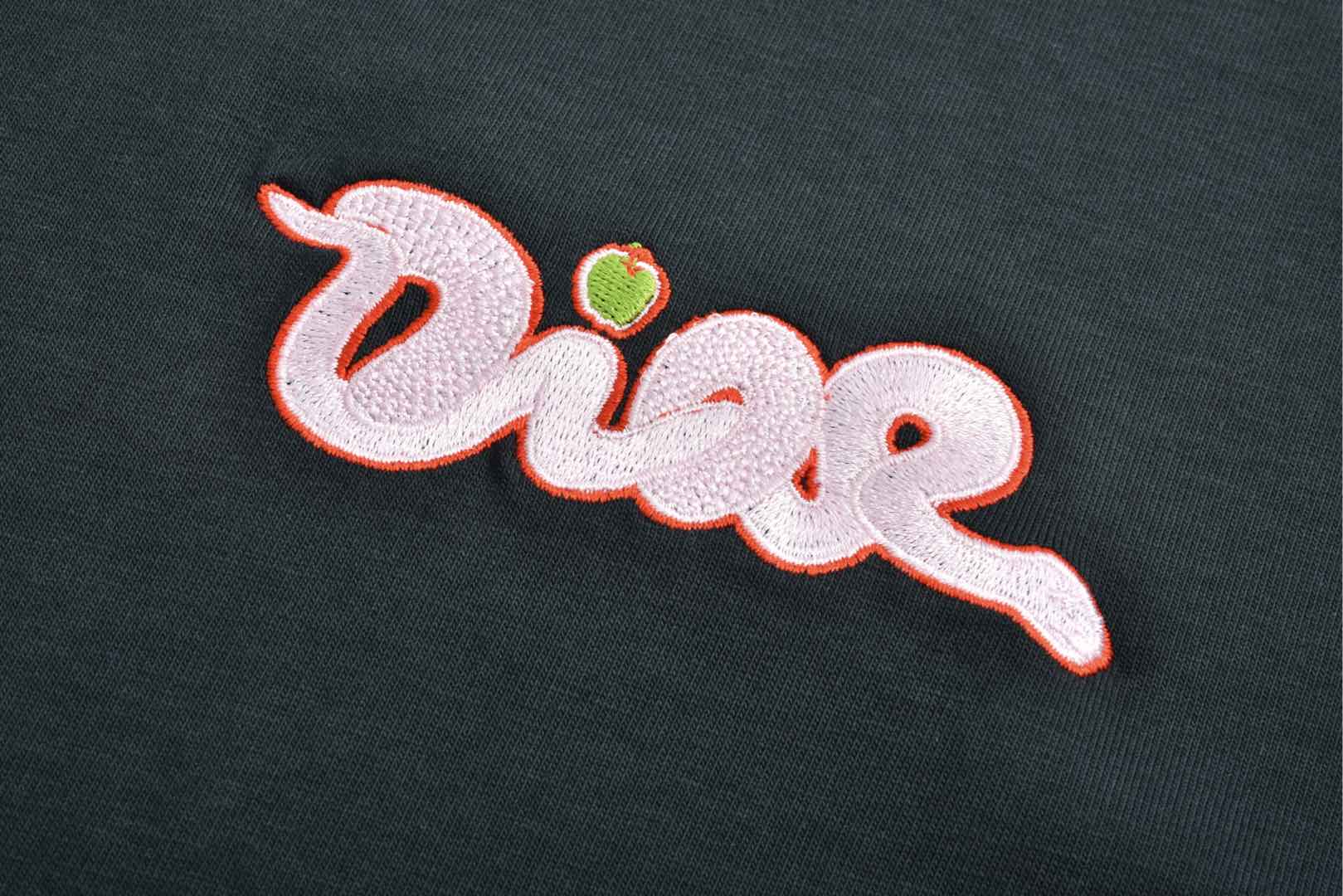 LuxluxHouse Best Quality Clothes T-shirt Dior
