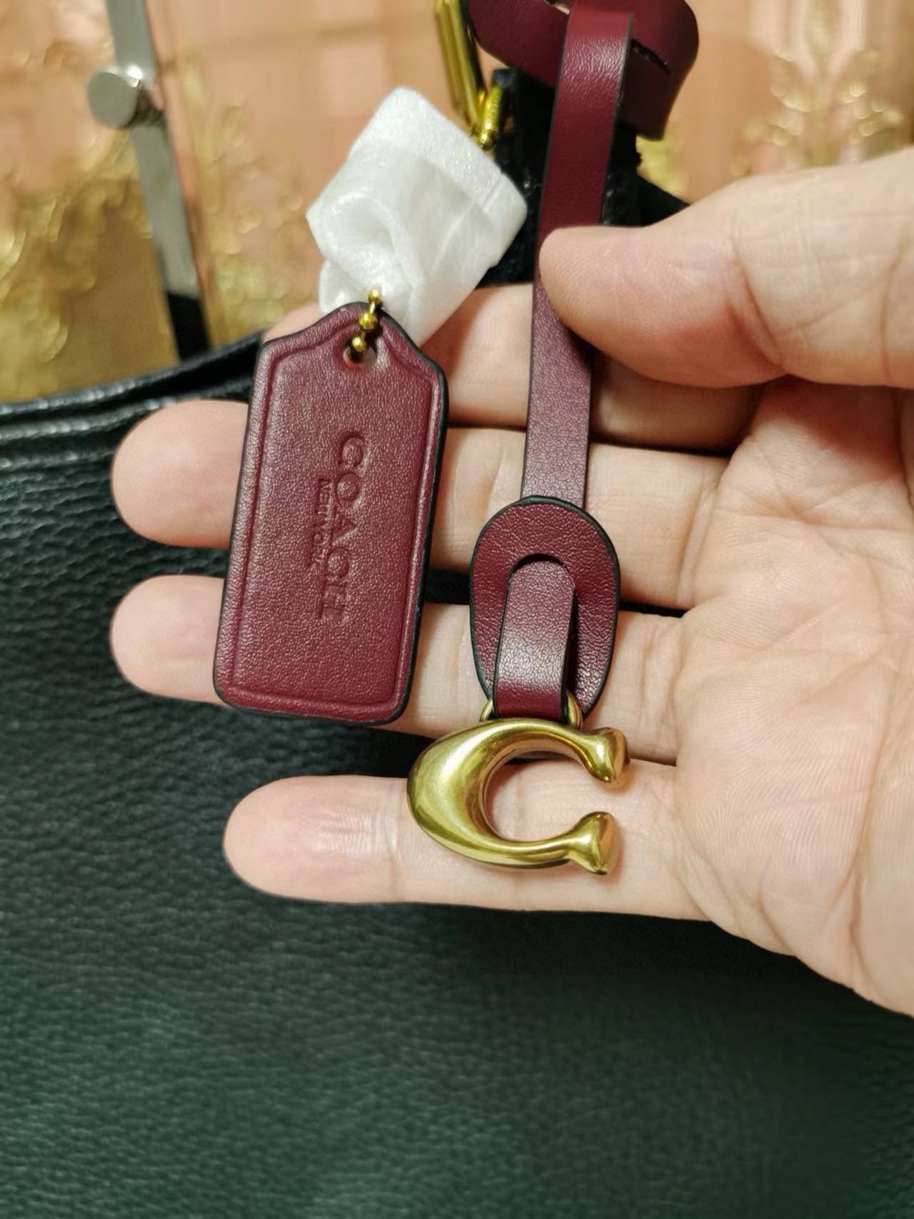 LuxluxHouse Best Quality Bags Coach