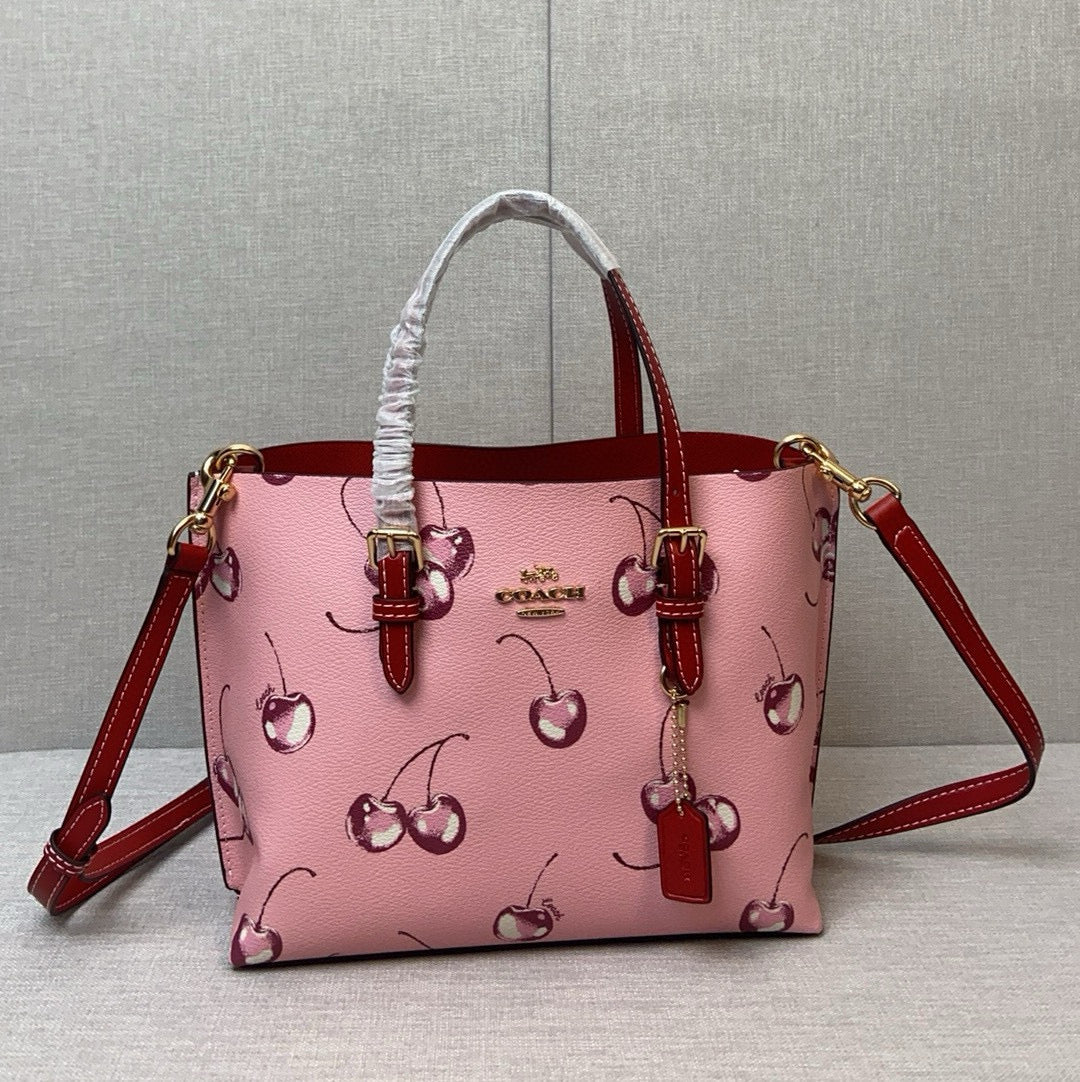 LuxluxHouse Best Quality Bags Coach