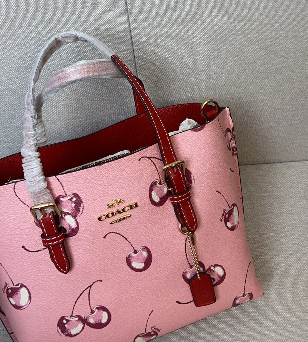 LuxluxHouse Best Quality Bags Coach