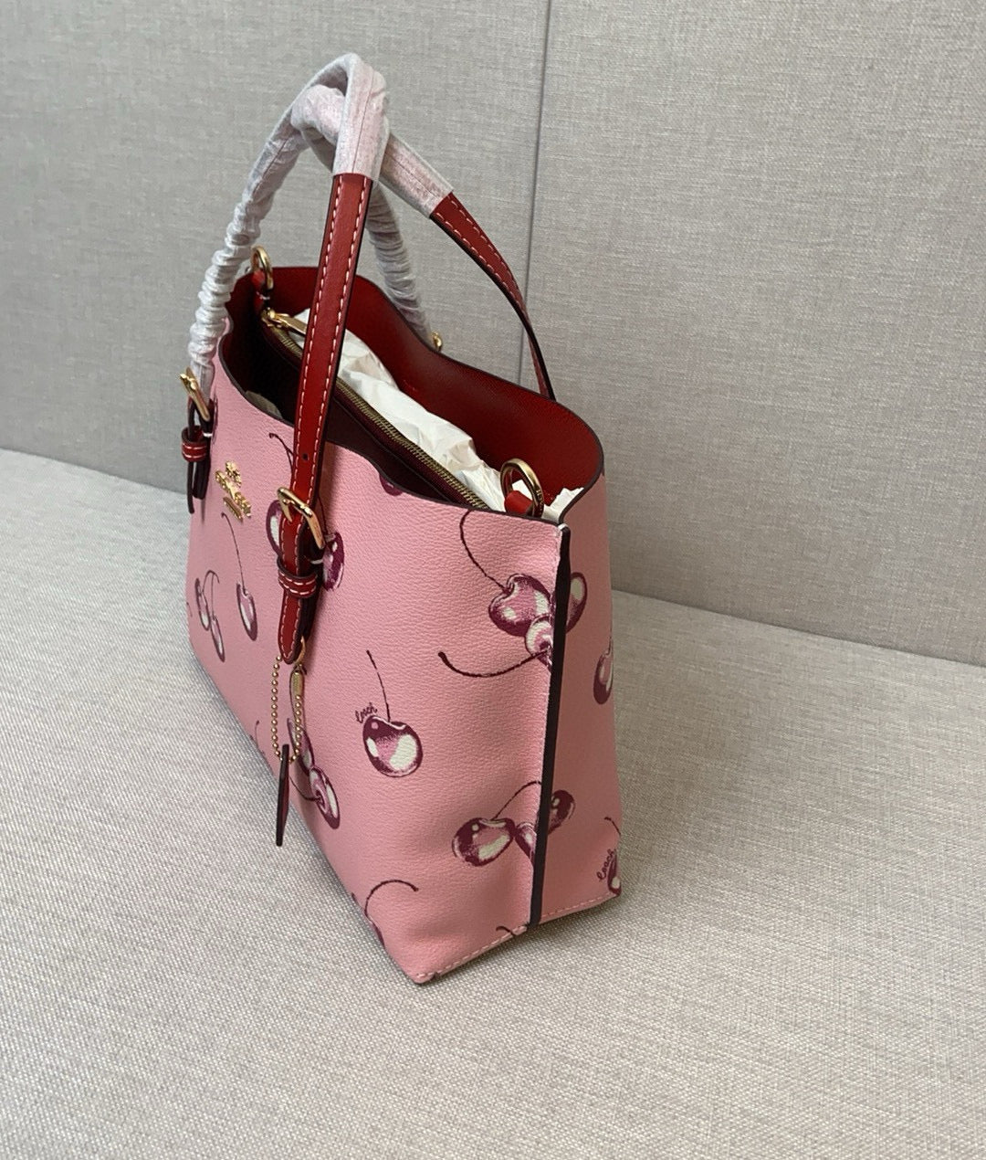 LuxluxHouse Best Quality Bags Coach