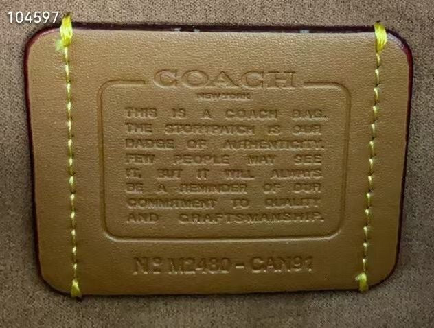 LuxluxHouse Best Quality Bags Coach