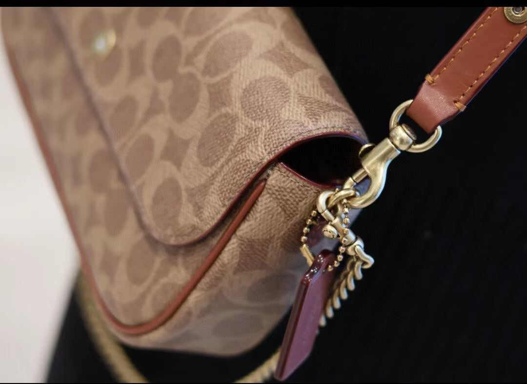 LuxluxHouse Best Quality Bags Coach