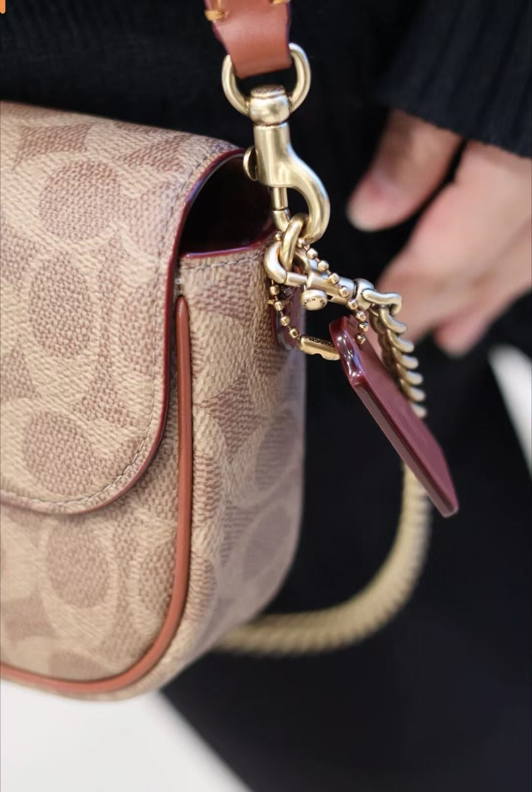 LuxluxHouse Best Quality Bags Coach