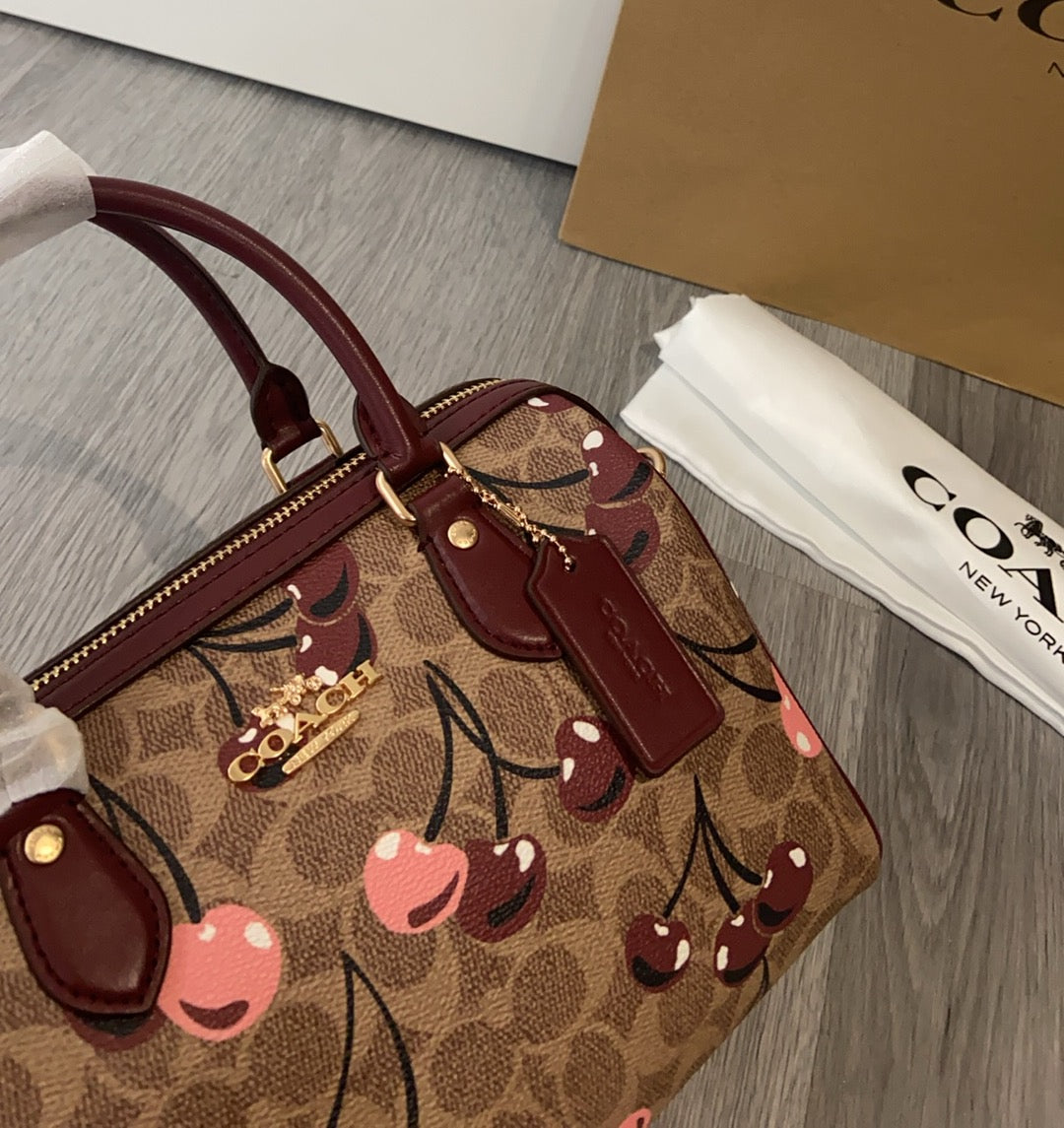 LuxluxHouse Best Quality Bags Coach