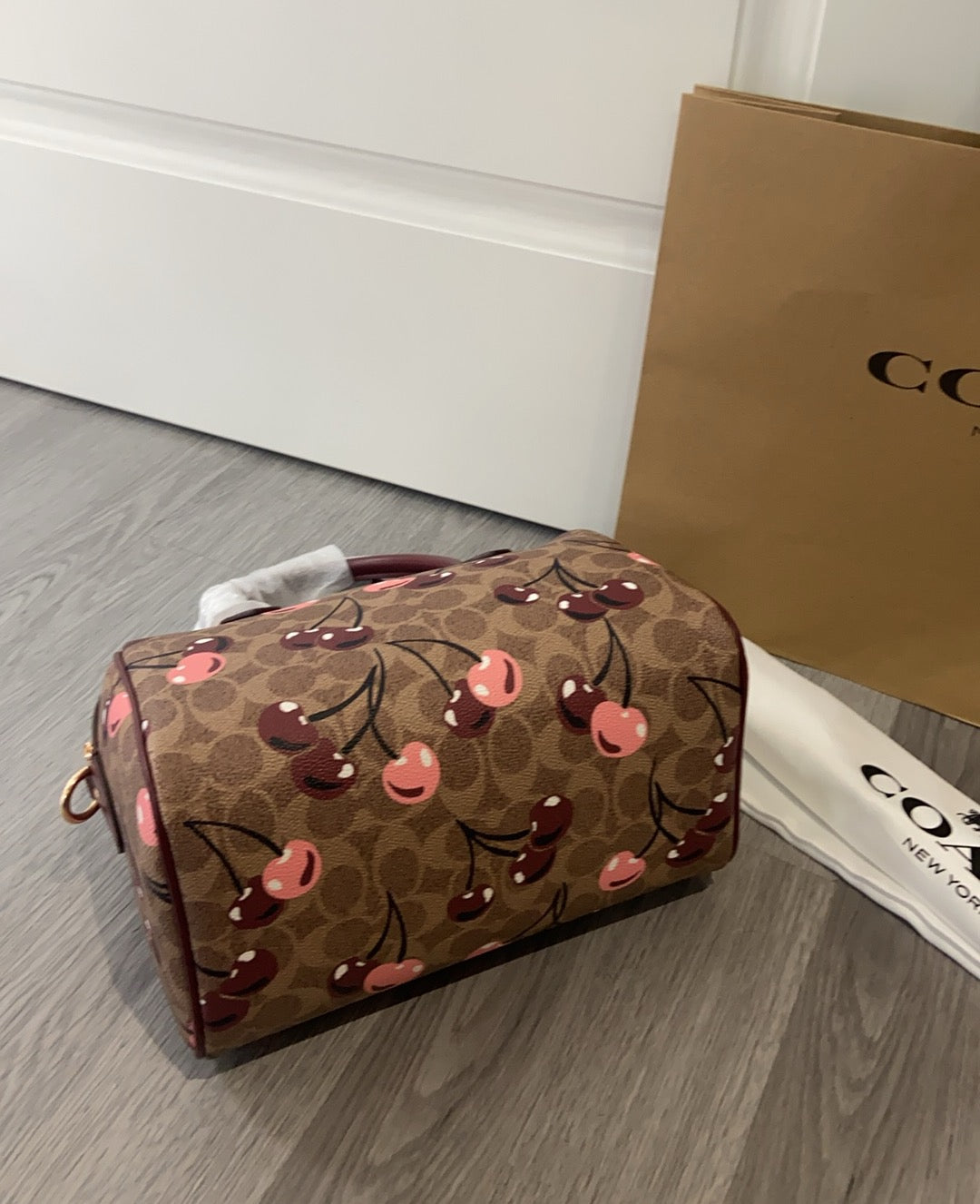 LuxluxHouse Best Quality Bags Coach