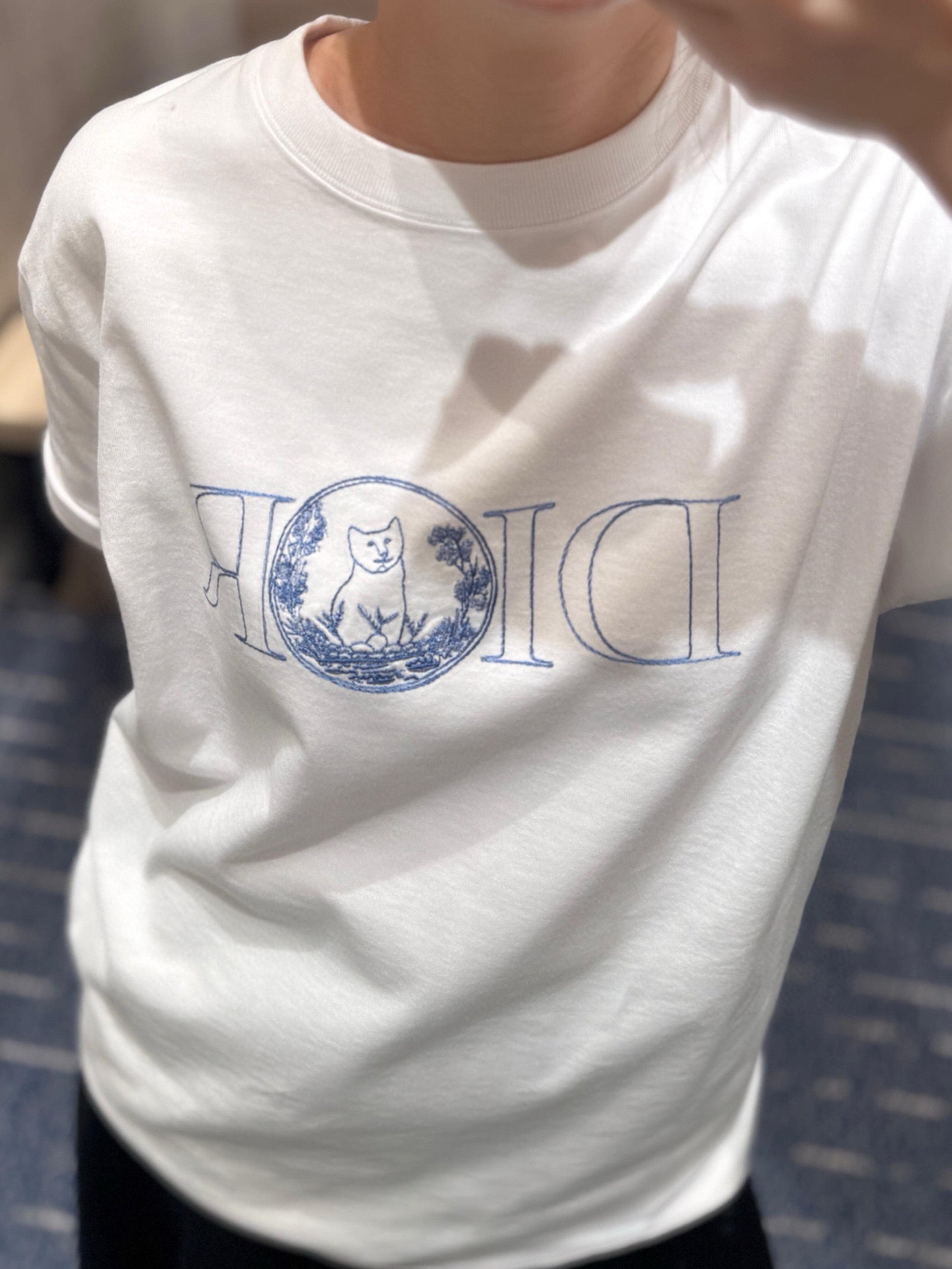 LuxluxHouse Best Quality Clothes T-shirt Dior