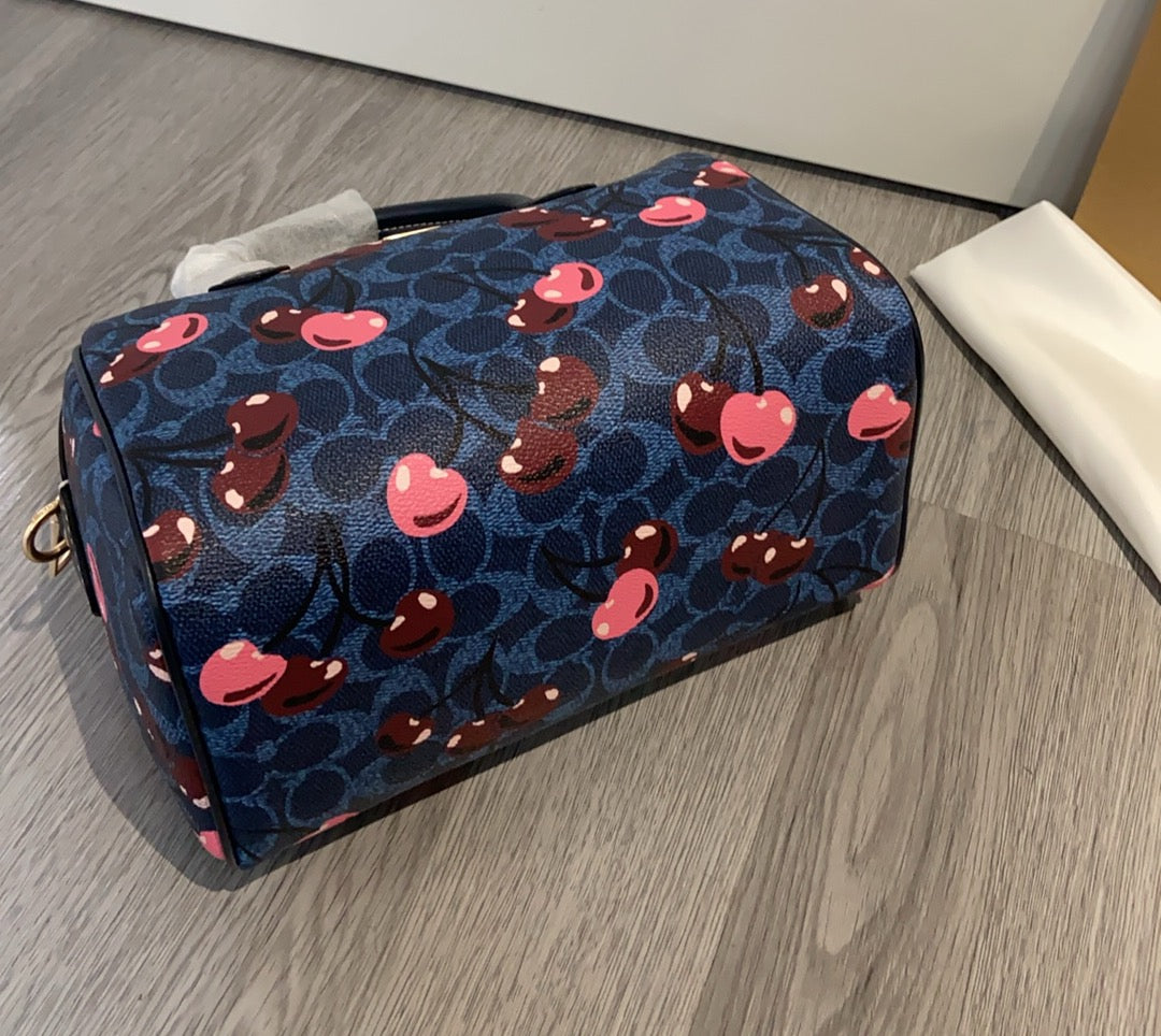 LuxluxHouse Best Quality Bags Coach