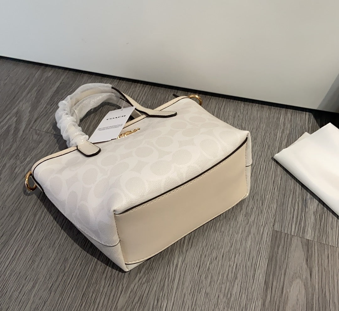 LuxluxHouse Best Quality Bags Coach