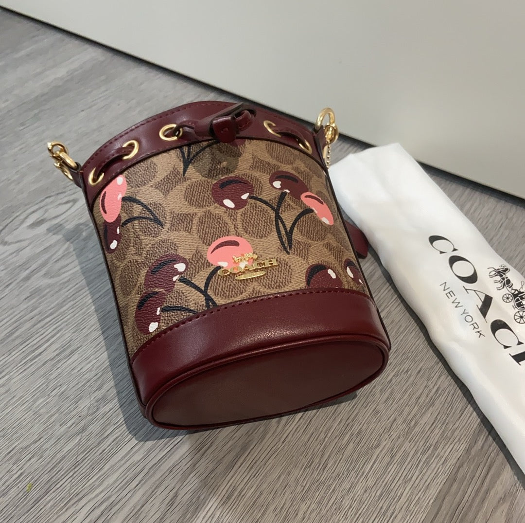 LuxluxHouse Best Quality Bags Coach