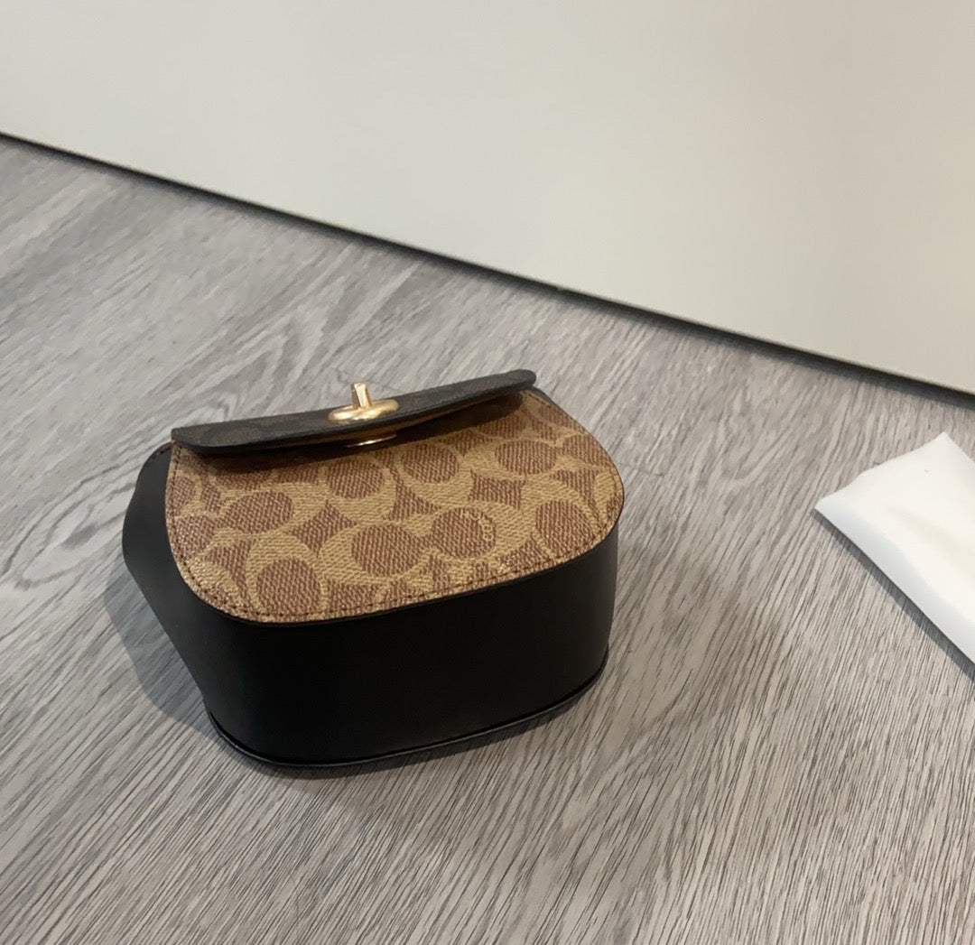 LuxluxHouse Best Quality Bags Coach
