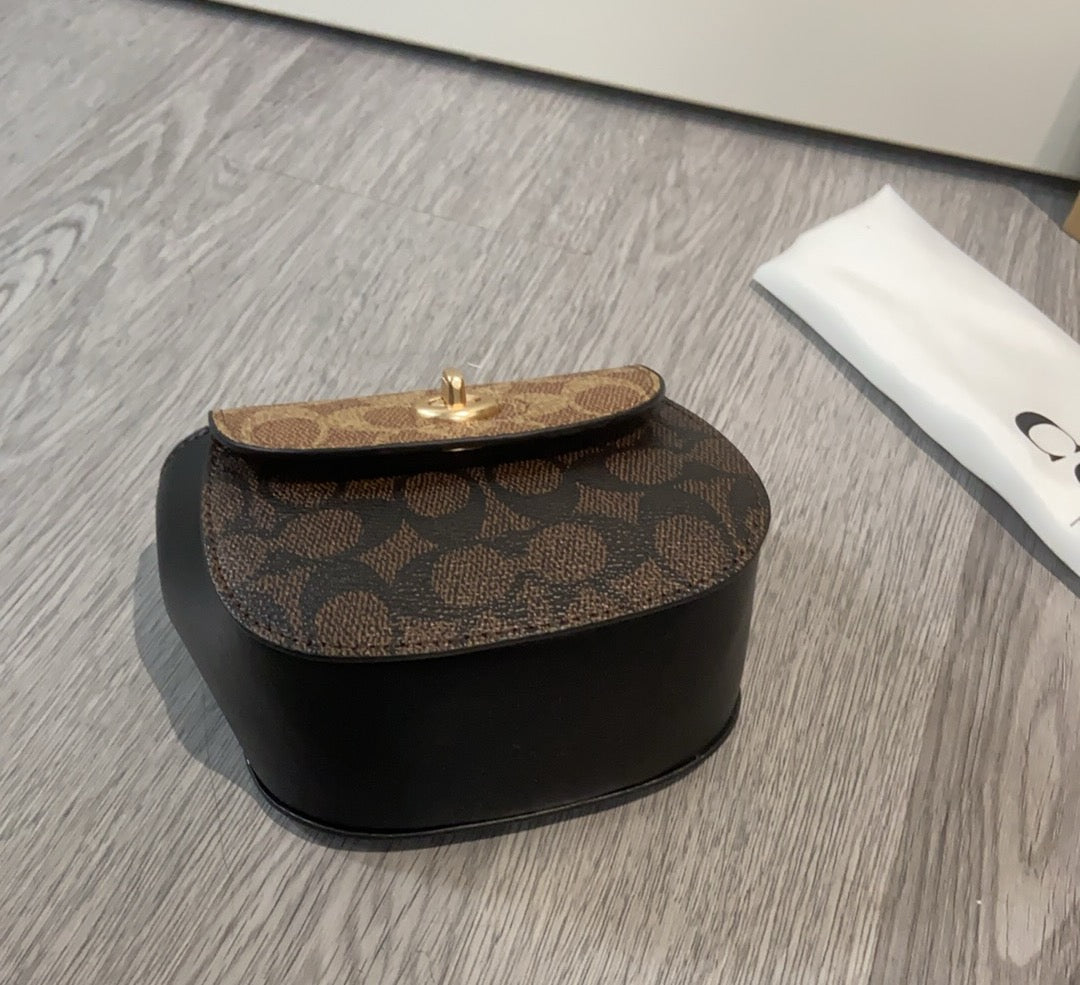 LuxluxHouse Best Quality Bags Coach