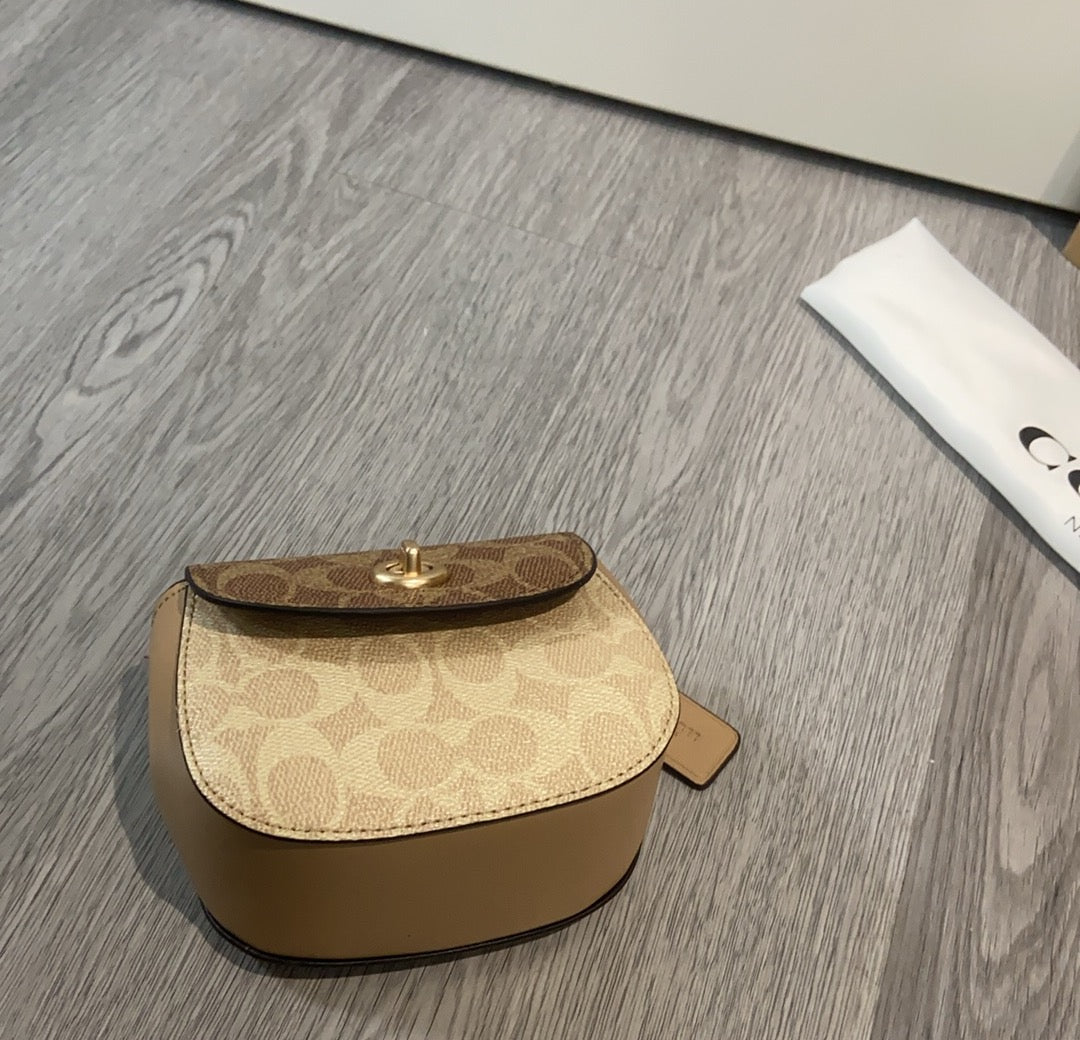 LuxluxHouse Best Quality Bags Coach