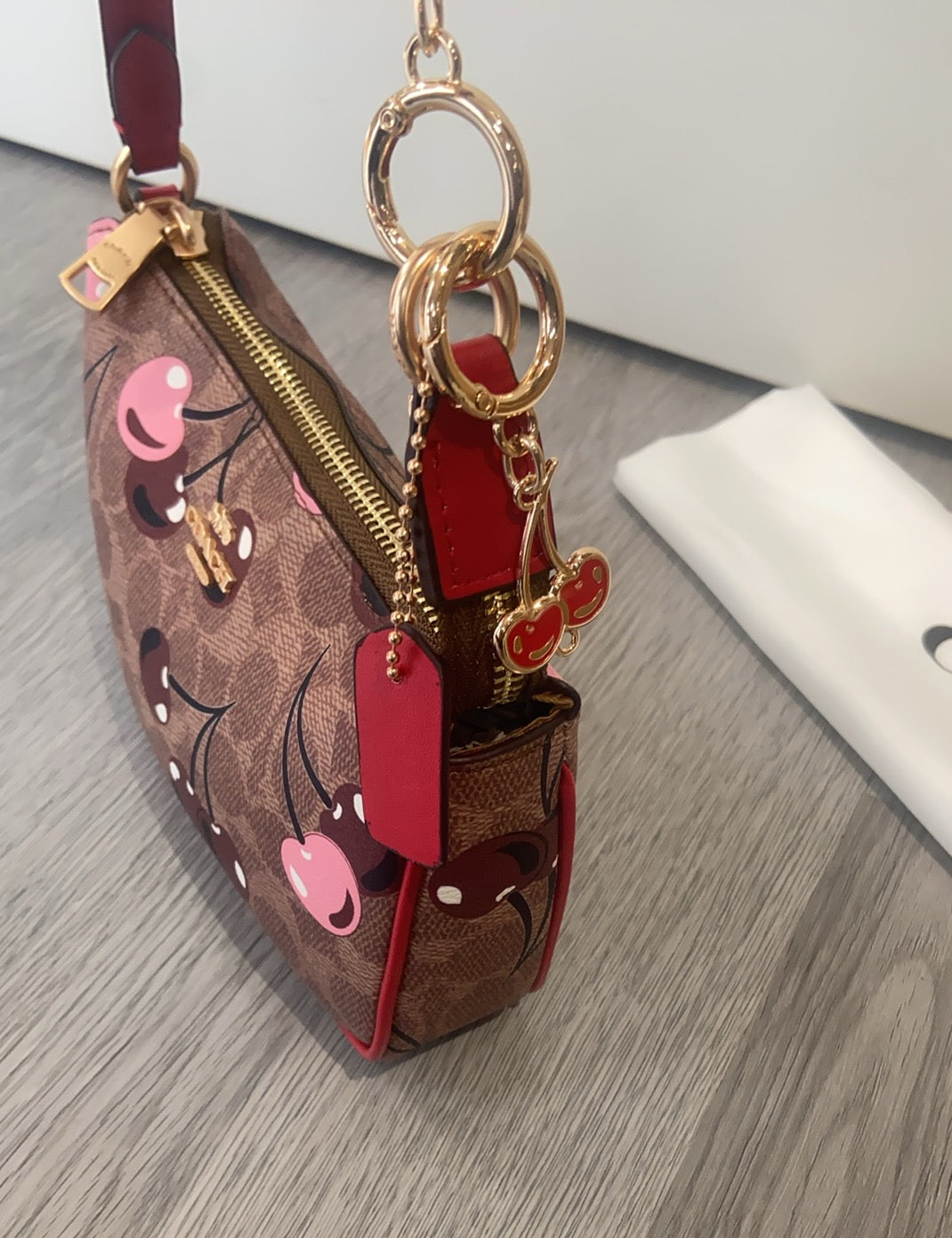 LuxluxHouse Best Quality Bags Coach