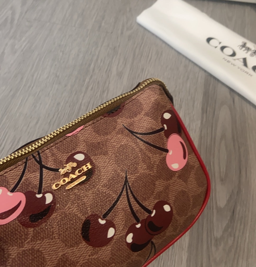 LuxluxHouse Best Quality Bags Coach
