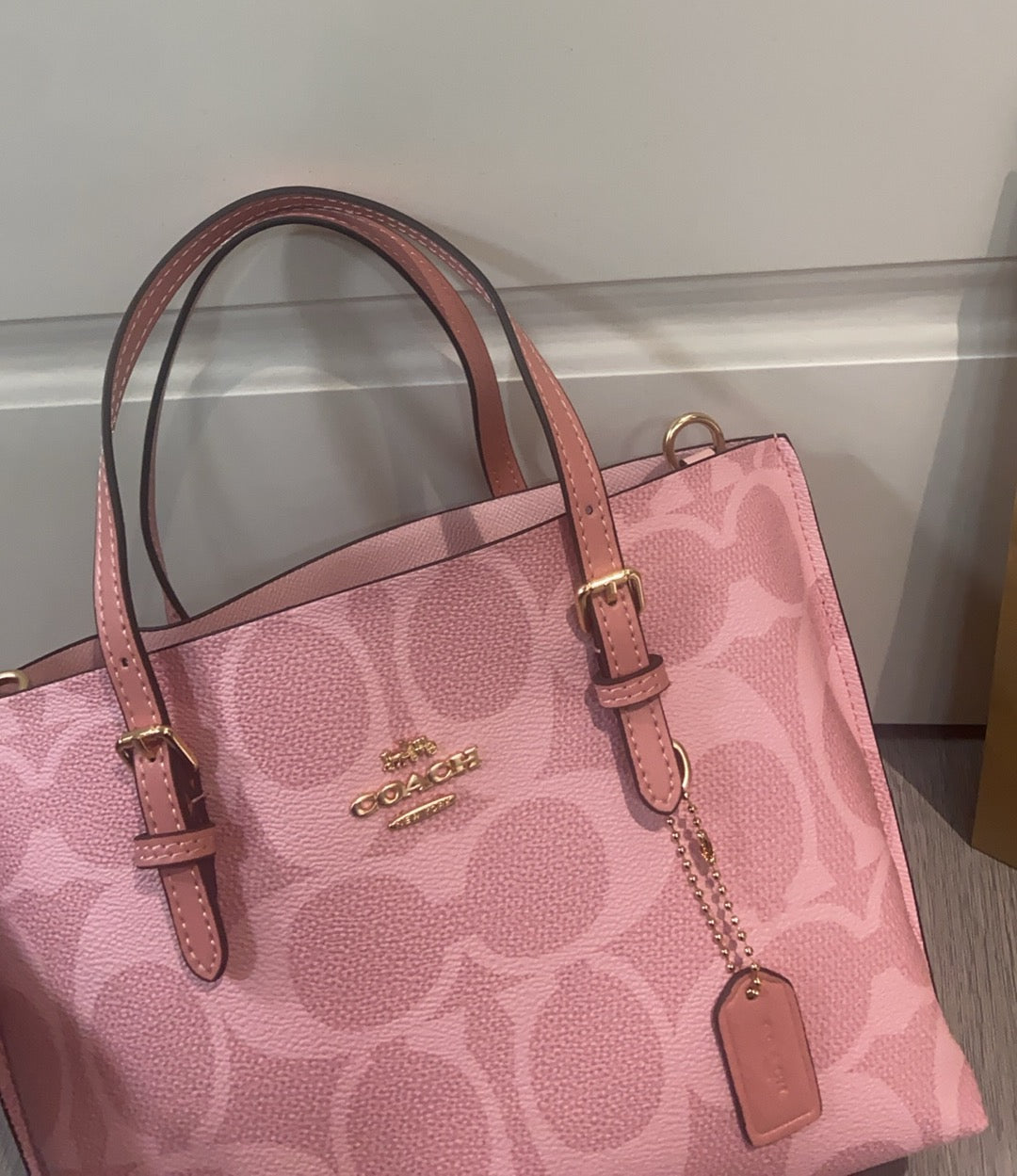 LuxluxHouse Best Quality Bags Coach