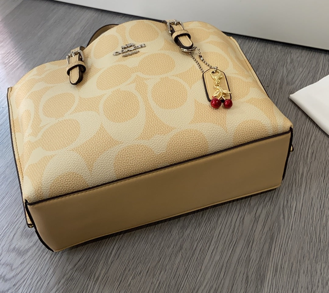 LuxluxHouse Best Quality Bags Coach