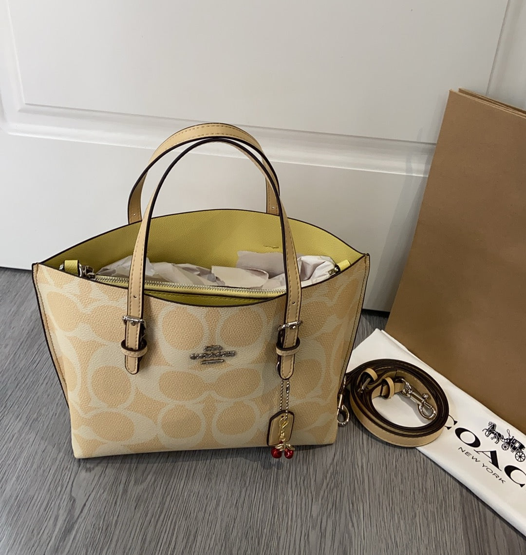 LuxluxHouse Best Quality Bags Coach