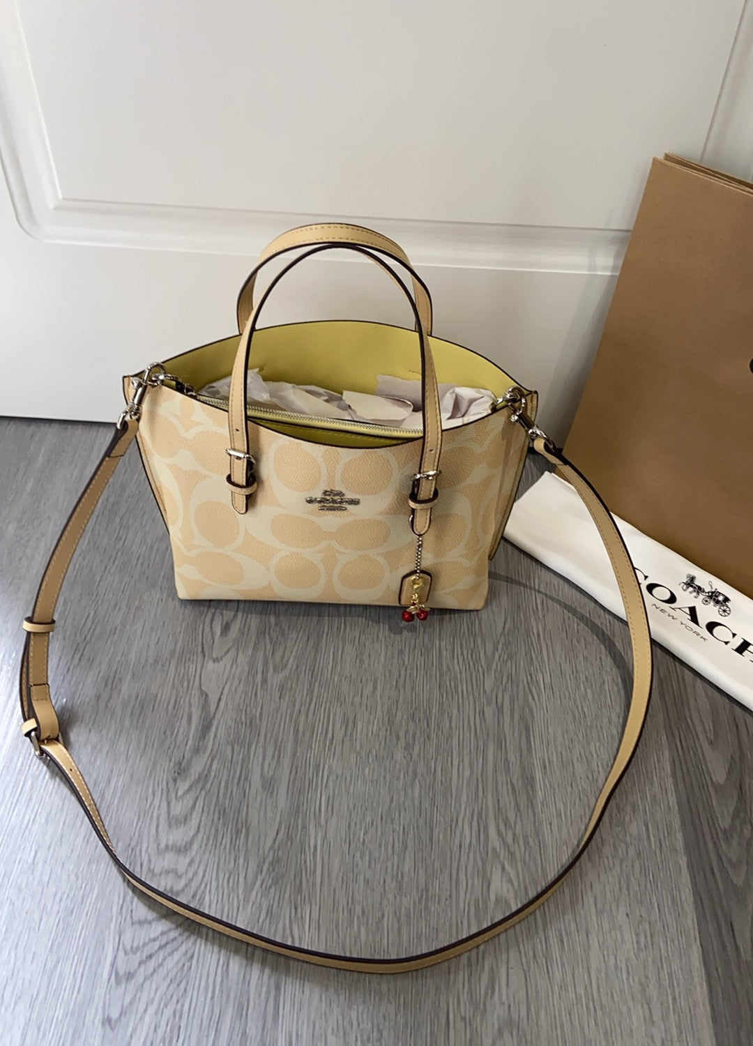 LuxluxHouse Best Quality Bags Coach