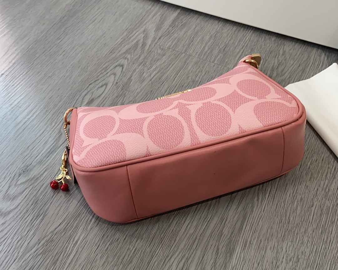 LuxluxHouse Best Quality Bags Coach