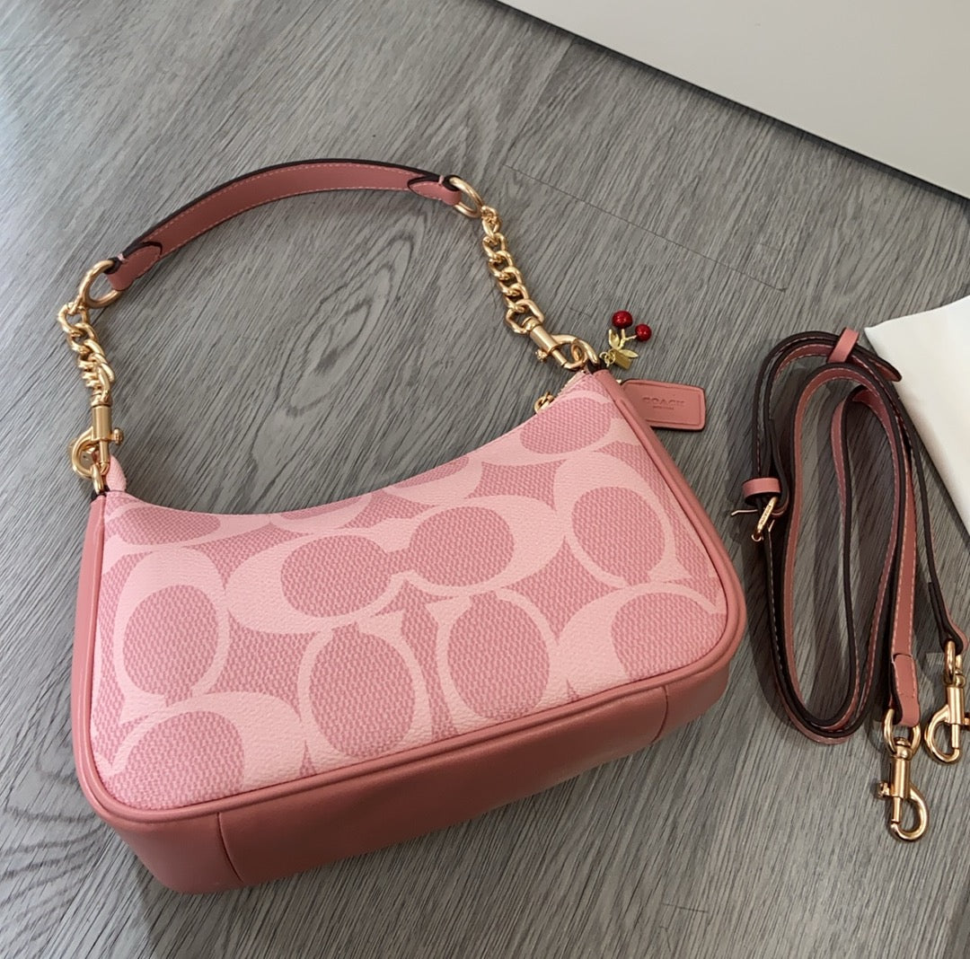 LuxluxHouse Best Quality Bags Coach
