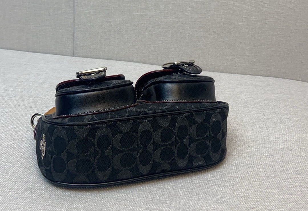 LuxluxHouse Best Quality Bags Coach