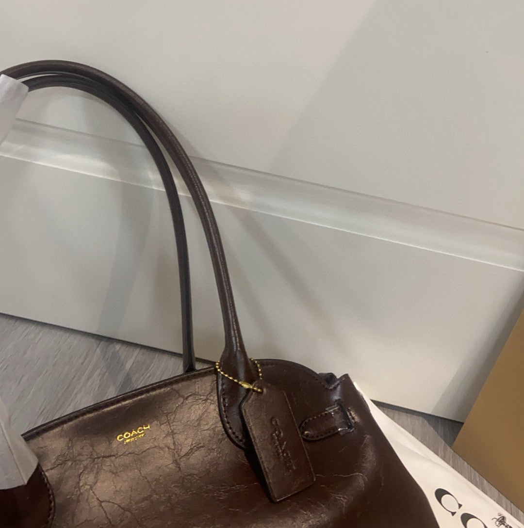 LuxluxHouse Best Quality Bags Coach