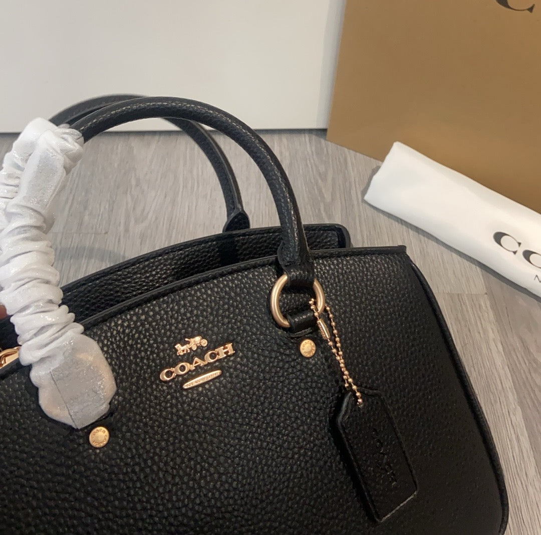 LuxluxHouse Best Quality Bags Coach