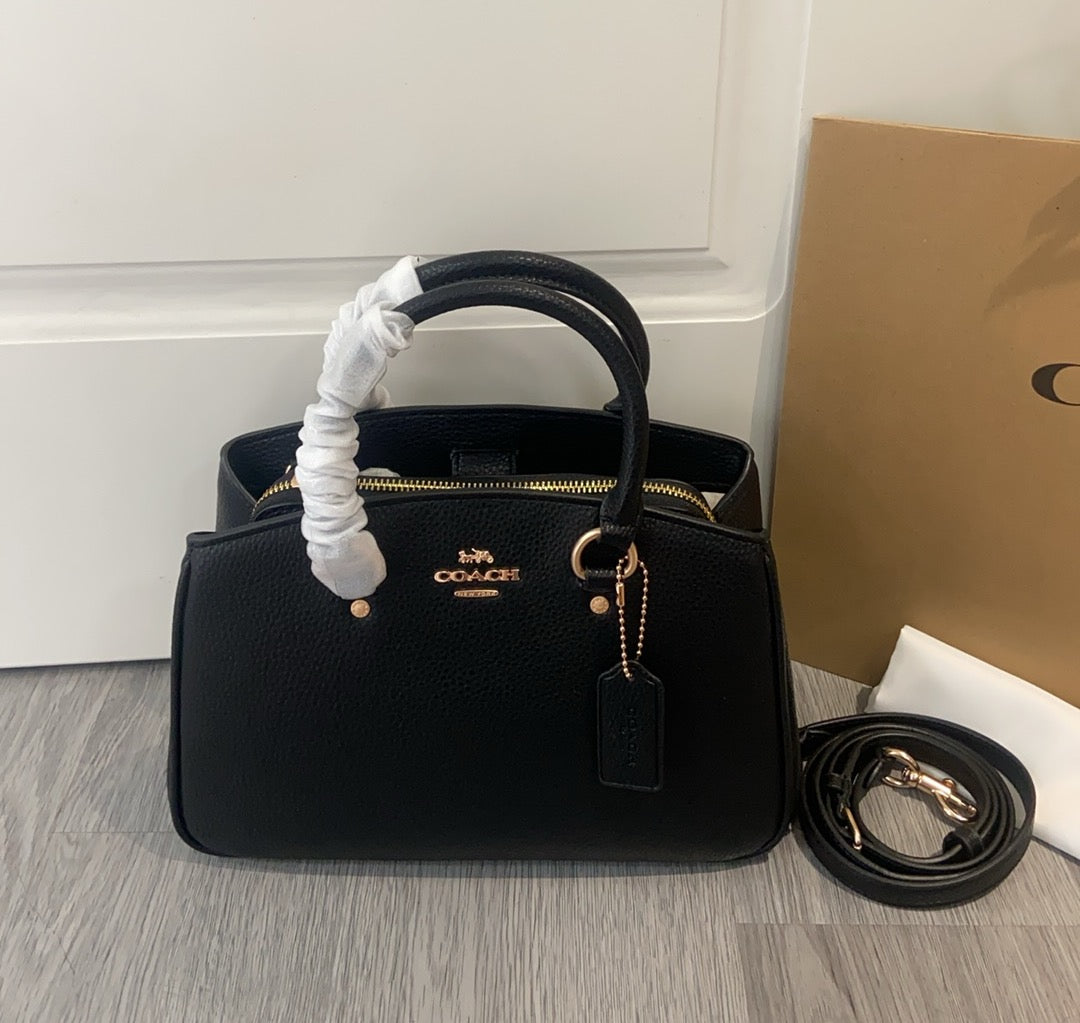 LuxluxHouse Best Quality Bags Coach