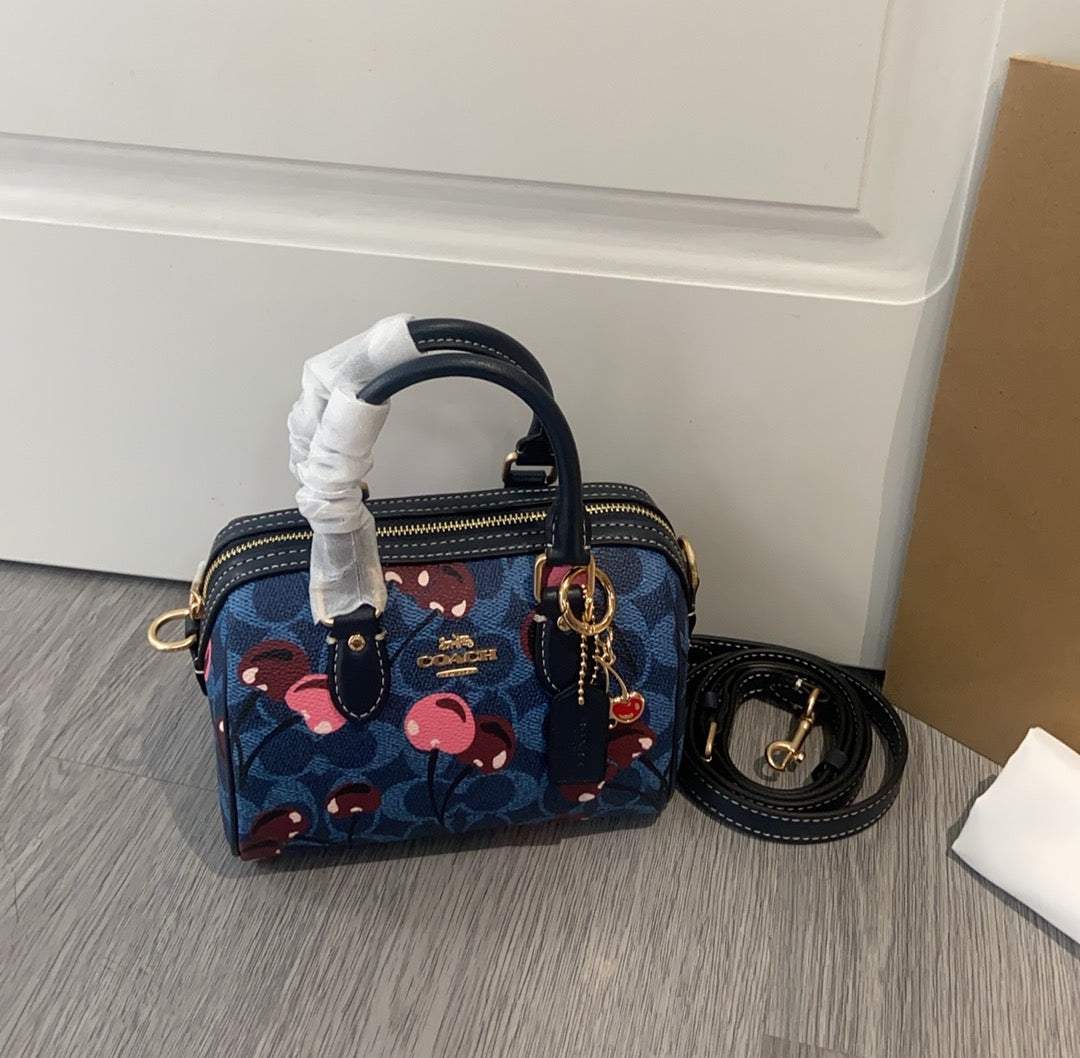 LuxluxHouse Best Quality Bags Coach