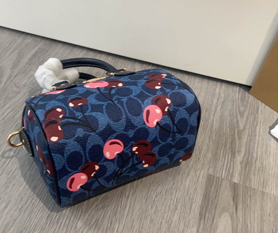 LuxluxHouse Best Quality Bags Coach