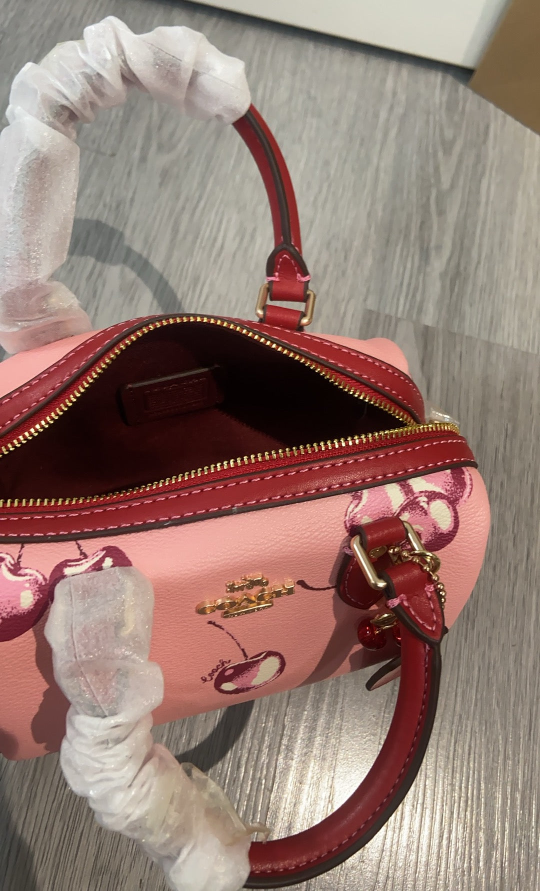 LuxluxHouse Best Quality Bags Coach
