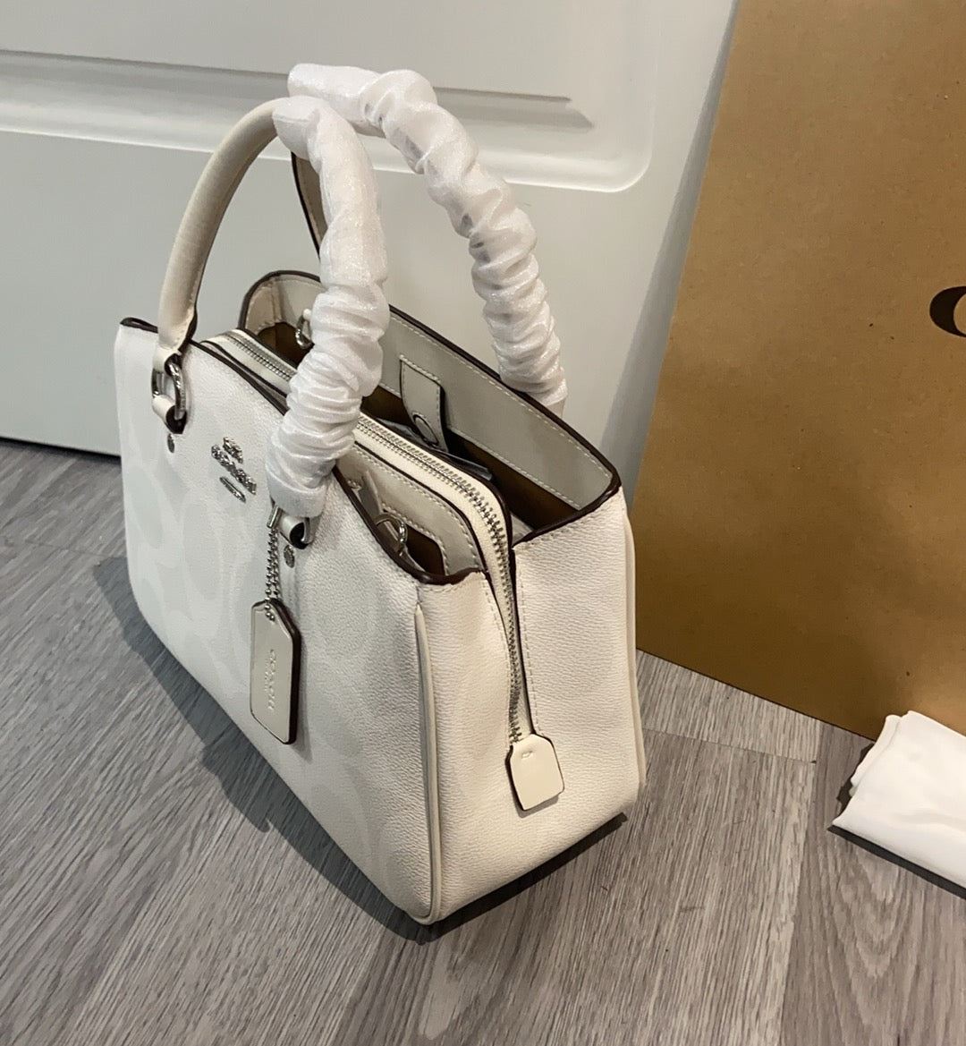 LuxluxHouse Best Quality Bags Coach