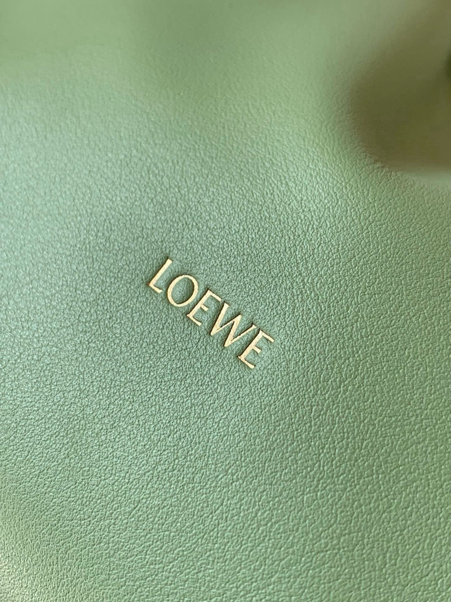 LuxluxHouse Best Quality Bags Loewe Women