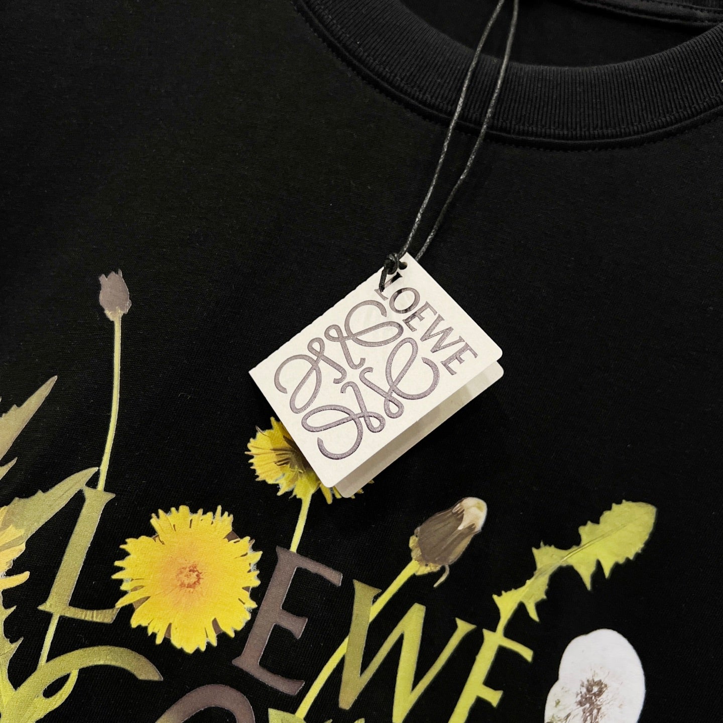 LuxluxHouse Best Quality Clothes T-shirt Loewe