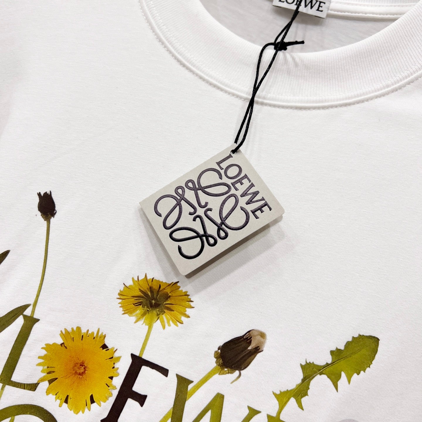 LuxluxHouse Best Quality Clothes T-shirt Loewe
