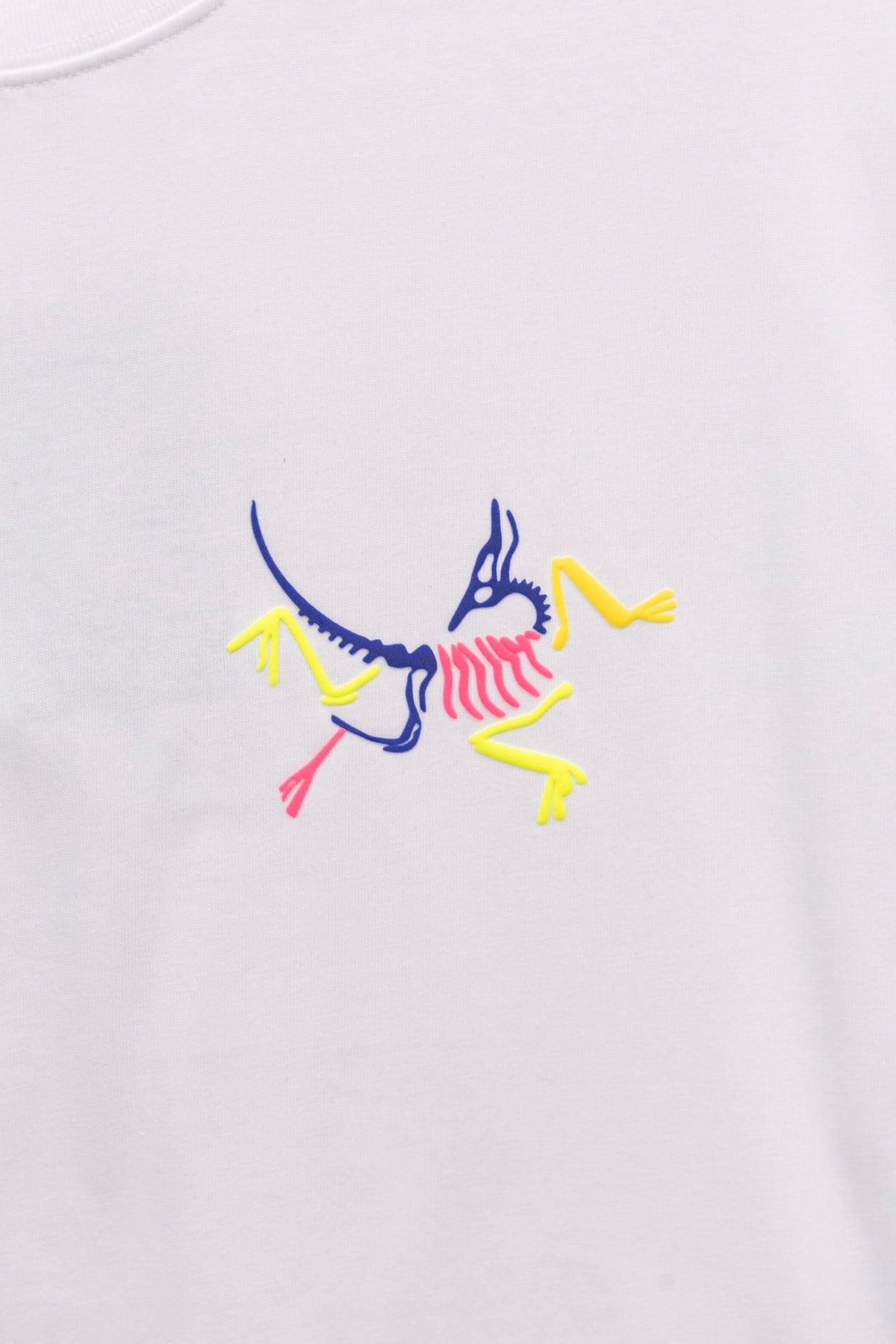 LuxluxHouse Best Quality Clothes T-shirt Arcteryx