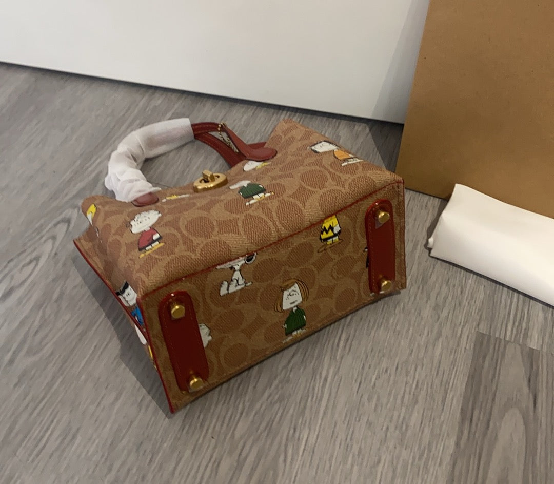 LuxluxHouse Best Quality Bags Coach