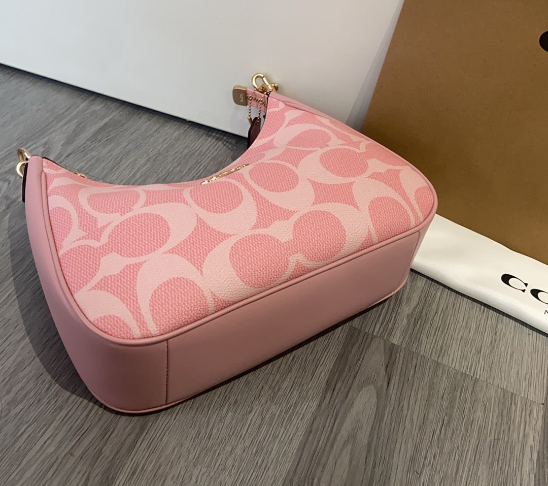 LuxluxHouse Best Quality Bags Coach